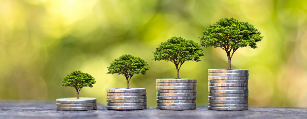 Fixed Income Dollar Fund